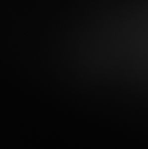 Meet your Posher, Shane